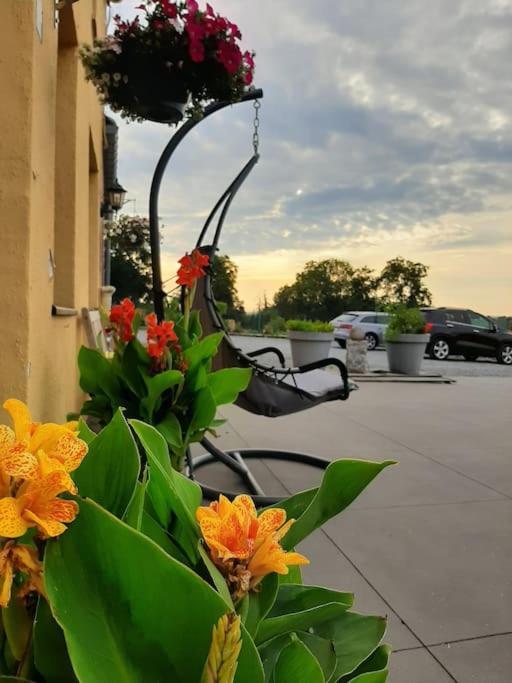 Apartament Le Calme De La Prairie De Liège Zewnętrze zdjęcie